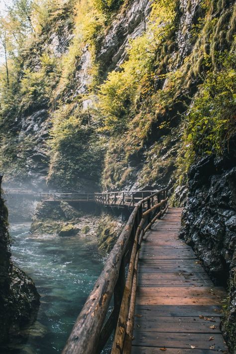 Slovenia: A Land Of Natural Beauty And Diversity - Travel Smarter Wooden Path, Mini Waterfall, Julian Alps, Largest Waterfall, Lake Bled, Traditional Houses, I Want To Travel, Turquoise Water, Travel Book