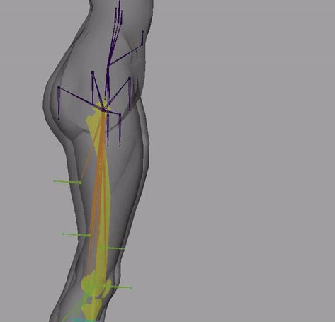 Here's How You Can Set Up an Anatomically Correct Human Body Rig Sculpting Reference Human Anatomy, Body Topology, 3d Rigging, Zbrush Anatomy, 3d Anatomy, Character Rigging, Body Tutorial, Anatomy Sculpture, 3d Modeling Tutorial