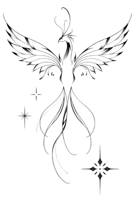 Phoenix Outline Tattoo, Phoenix Tattoo On Arm, Easy Phoenix Tattoo, Tiny Phoenix Tattoo, Fine Line Phoenix Tattoo, Single Line Phoenix Tattoo, Line Work Phoenix Tattoo, Symmetrical Phoenix Tattoo, Highland Cow Pictures