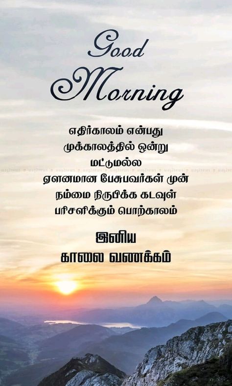 Good Morning Quotes Tamil, Good Morning In Tamil, Good Morning Images In Tamil, Good Morning Tamil, 15 August Photo, Good Morning Motivation, Tamil Motivational Quotes, Good Morning Beautiful Flowers, Good Morning Beautiful Pictures