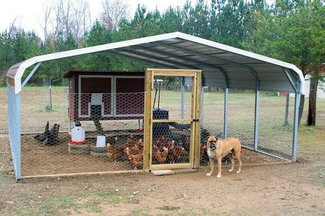 Guinea Fowl Coop, Chicken Backyard, Chicken Yard, Portable Chicken Coop, Backyard Chicken Coop Plans, Chicken Pen, Chicken Coup, Diy Chicken Coop Plans, Coop Ideas