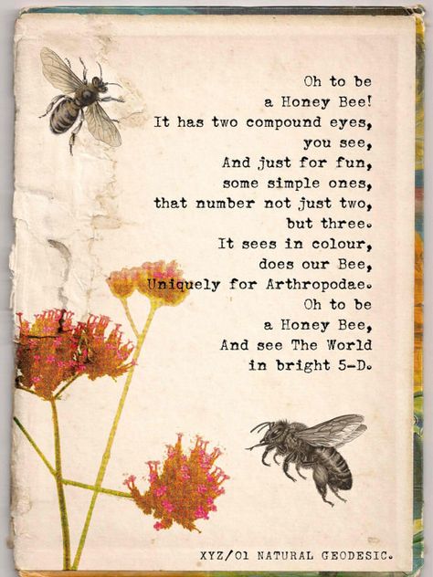 12 Beautifully Illustrated Poems Celebrating Science And Nature Bee Poem, Best Science Books, Nature Poetry, Bee Quotes, Buzzy Bee, I Love Bees, Bee Keeper, Bee Inspired, Bee Friendly