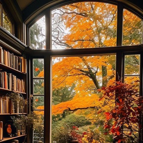 Dustin Benge on Instagram: "“You can't get a cup of tea big enough or a book long enough to suit me.” C.S Lewis . . #midjourney #instalibrary #library #homelibrary #midjourneyarchitecture #autumnvibes #autumnhome #autumhomedecor #aiarchitecture" Fall Books Aesthetic, Dustin Benge, Fall Books, Books Library, Fall Mood Board, Library Aesthetic, Autumn In New York, C S Lewis, Fall Inspo