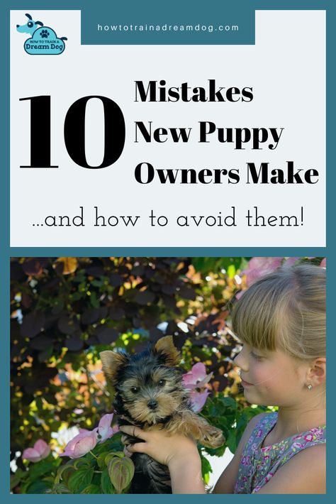 Now that you have your new puppy you'll want to make sure you're teaching the right skills first and you set up good training habits and routines. The more consistent you are the faster your puppy will learn! It's easy to make mistakes after you bring your new puppy home, after all, your excitement and those adorable puppy eyes can lead you down the wrong path. Check out these common mistake many puppy owners make and set you and your puppy up for years of success together. Puppy Pens, Habits And Routines, Puppy Playpen, Train Your Puppy, Puppy Time, Dog Advice, Puppy Training Tips, Dream Dog, Adorable Puppy