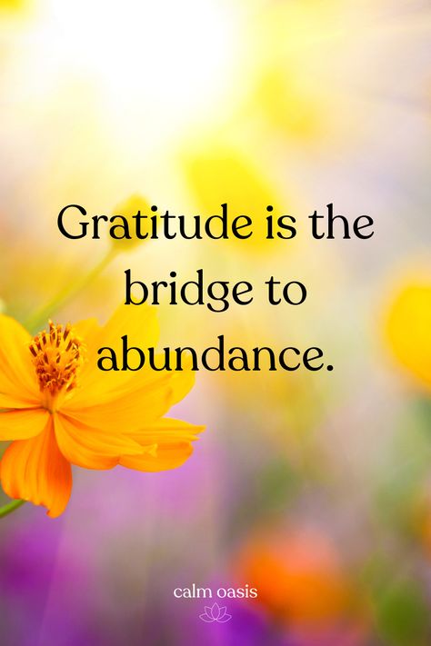 Gratitude Quotes | Abundance | Manifestation Gratitude And Mindfulness, Gratitude Quotes Inspiration, November Blessings, Quotes Abundance, Manifest Journal, Gratitude Quotes Thankful, Simple Thoughts, Aa Quotes, Abundance Manifestation