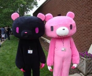 Pink And Black Gloomy Bear, Scene Culture, Gloomy Bear, Scene Queens, Rawr Xd, Scene Emo, Pretty Princess, Best Duos, Emo Scene