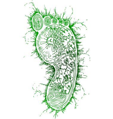 Sketchy doodles green footprint vector 1264847 - by carlacastagno on VectorStock® Ecological Footprint Art, Carbon Footprint Illustration, Footprint Illustration, Foot Illustration, Sketchy Doodles, Green Footprints, Ecological Footprint, Visual Board, Footprint Art