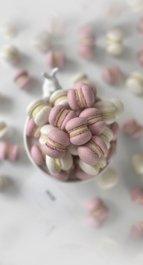 Mini Macarons, Mini Macaron, October 25, Macaroons, Meringue, Macarons, On Instagram, Instagram