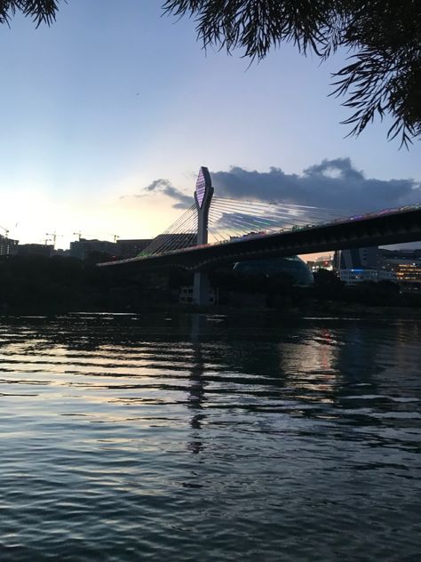 #View of Durgam Cheruvu Cable Bridge #new #construction Durgam Cheruvu Cable Bridge Night, Durgam Cheruvu, Hyderabad Travel, Cable Bridge, My Travel, Hyderabad, New Construction, New York Skyline, Bridge