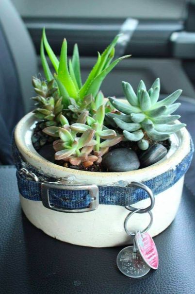 Like maybe you turned your dog’s water bowl and collar into a little garden. Lou Dog, Pet Remembrance, Water Bowl, Dog Memorial, Losing A Pet, Pet Loss, Diy Dog Stuff, Dog Care, Dog Life