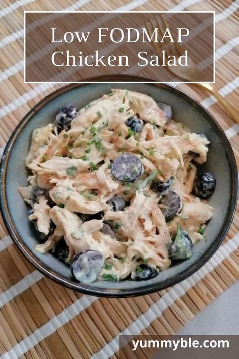 Low Fodmap Chicken Broth, Low Fodmap Shredded Chicken Recipes, Low Fodmap Lunches For Work, Low Fodmap Chicken Salad Recipe, Low Fodmap Rotisserie Chicken Recipes, Low Fodmap Dressing Recipe, Low Fodmap Crockpot Recipes, Fodmap Chicken Salad, Low Fodmap Dressing