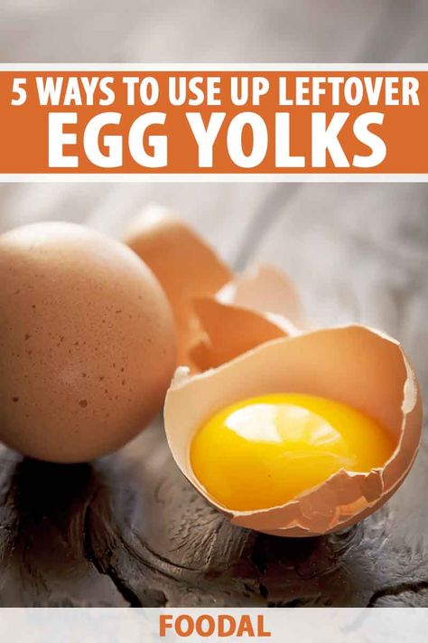 Searching for ways to salvage the egg yolks you didn’t need to make those macaroons? This silky substance gives an upgrade to plenty of recipes and we’re full of ideas, from hollandaise to homemade pudding. Find our lineup of 5 spectacular ways to make the most of your yolks now on Foodal. #eggyolk #leftovers #foodal Recipes Using Egg Yolks Only, Leftover Egg Yolks Recipes, Egg Yolk Uses, Egg Yolk Recipes, No Egg Desserts, Homemade Pudding, Best Gluten Free Recipes, Egg Yolks, How To Store