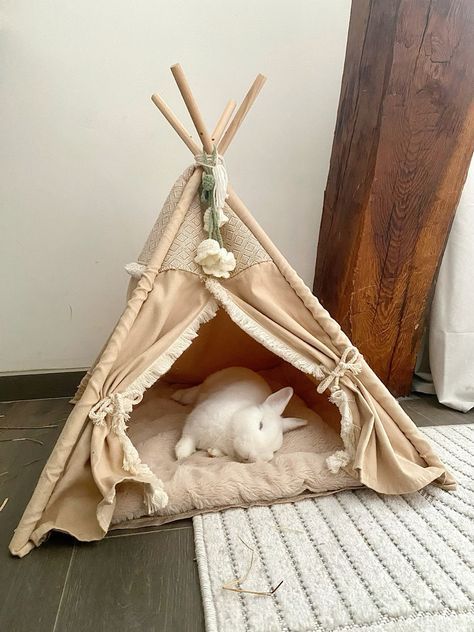 Cute Rabbits Aesthetic, Cute Rabbit Room Ideas, Clothes For Bunnies, Bunny Pet Aesthetic, Pet Rabbit Aesthetic, Bunny Room Set Up, Bunny Area Indoor, Bunny Clothes Pet, Bunny Teepee