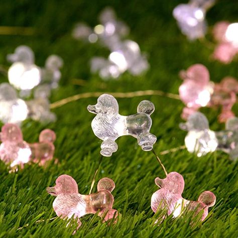 AmazonSmile: Poodles Dog String Lights, Pets Theme Decorative, 10 Ft 30 LEDs Battery & USB Powered with Remote and Timer, for Indoor Covered Outdoor Wedding Birthday Christmas Parties Ornament: Home Improvement Grey Poodle, Dog Light, Pink Poodle, Indoor String Lights, Grey Dog, Led Fairy Lights, Poodle Puppy, Fairy String Lights, Poodle Dog