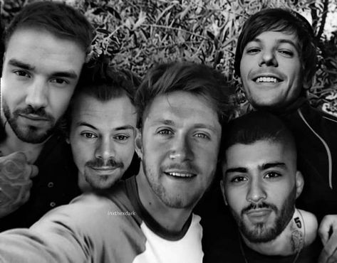 One Direction Reunion Edit, 1d Reunion, One Direction Reunion, One Direction Background, One Direction Edits, Larry Stylinson, One Direction, Harry Styles, Quick Saves