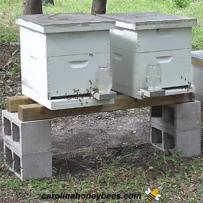 Why Beekeepers Use Hive Stands - Carolina Honeybees Hive Stand Ideas, Bee Hive Stands Diy, Beehive Stand Ideas, Bee Hive Stands Ideas, Beehive Stands, Hive Stands, Beehive Stand, Bee Hive Stand, Bee Apiary