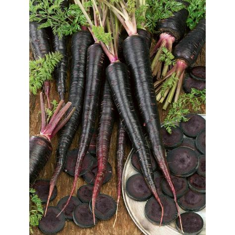 Purple Roots, Colorful Carrots, Black Carrot, Goth Garden, Sweet Carrot, Unique Vegetables, Carrot Seeds, Wild Bird Food, Deep Purple Color