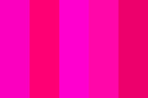 Hot Pink Color Palette Hot Pink Color Palette, Pink Branding, Pink Color Combination, Pink Color Palette, Christmas Color Palette, Pink Color Schemes, Pink Palette, Color Schemes Colour Palettes, Hot Pink Color