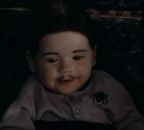 The Addams Family Adams Family Baby, Addams Family Baby, Pubert Addams, Addams Family Show, Adams Family Halloween, Addams Family Movie, Addams Family Values, Gomez And Morticia, Gomez Addams