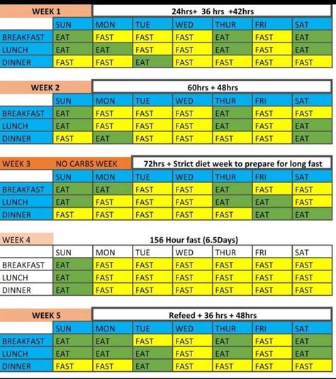 Weekly Fasting Schedule, 21 Day Fasting Plan, Intermidate Fasting Plan, Juice Fasting 10 Day, Dr Fung Fasting Plan, Prolonged Fasting, Intermittent Fasting Plan, Intermittent Fasting Schedule, Fasting Meal Plan