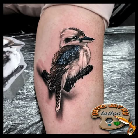 Young Laughing Kookaburra bird for my Australian client. . . . . . . #laughingkookaburra #kookaburra #birdtattoo #bird #realismtattoo… | Instagram post from David Jay Kai (@david.jay.kai.tattoos) Australian Tattoo Ideas Men, Australian Bird Tattoo, Aussie Tattoo, Australian Tattoo Ideas, Kookaburra Tattoo, Australia Tattoo Ideas, Memorial Tattoos Mom, Australia Tattoo, Australian Tattoo