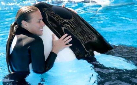 Dawn Brancheau, Blackfish Documentary, Marine Aesthetic, Magnolia Pictures, Great Whale, Horse Room, Marine Wildlife, Orlando Travel, Future Job