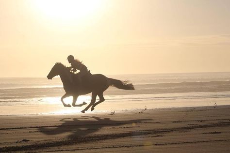 Beach ride Horse On Beach Aesthetic, Horse Riding Beach, Riding Horses On The Beach, Riding Aesthetic, The Scorpio Races, Irish Sport Horse, Horse Riding Aesthetic, Beach Rides, Equestrian Aesthetic