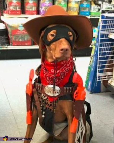 Cowboy Costume - Halloween Costume Contest Cowboy Dog Costume, Costumes For Pets, Wild West Outfits, Cowboy Halloween Costume, 2017 Halloween Costumes, Cowboy Dog, Cowboy Costume, Homemade Costume, Costume Works