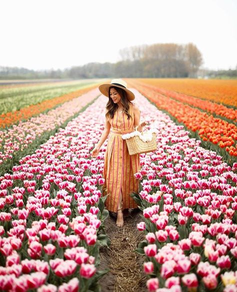 Tulips Photoshoot, Tulip Photoshoot, Amsterdam Outfits, Mode Poses, Amsterdam Outfit, Spring Photoshoot, Flower Photoshoot, Favourite Flowers, Tulip Festival