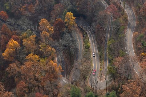 240 forest ave chattanooga tn | Road, Signal Mountain, Tennessee, aerial photo | Ron Lowery Signal Mountain Tennessee, Road Signal, Country Walk, Chattanooga Tennessee, Historic Photos, Chattanooga Tn, Beautiful Places On Earth, Aerial Photo, 50 States