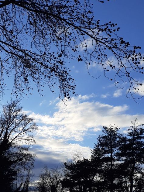 Ciel Bleu Aesthetic, Photo Du Ciel, Photo Ciel, Night Sky Photos, Sky Photography, Photo Profil, In This Moment, Quick Saves, Instagram