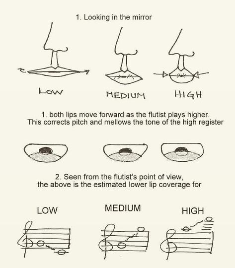 Flute embouchure Trumpet Fingering Chart, Flute Fingering Chart, Flute Problems, Flute Lessons, Harmonica Lessons, Reading Sheet Music, Trumpet Music, Band Jokes, Not Musik