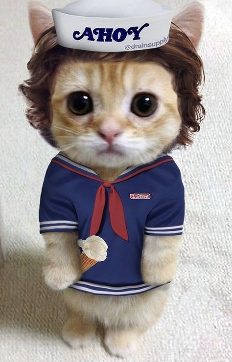 Made by drainsupply on instagram Stranger Things Fanfic, A Cat, Stranger Things, Pins