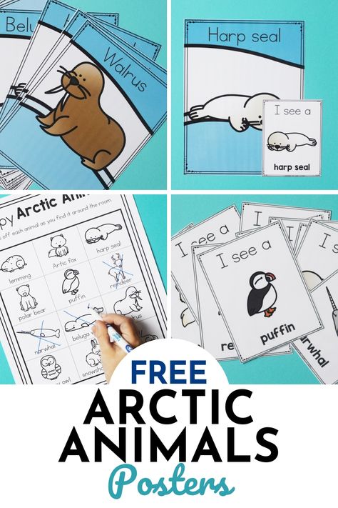 Use these free printable posters from Life Over C's for Arctic Animals to decorate your classroom this winter! The posters include an arctic animal I spy worksheet for your kids to complete! Grab this teaching resource today! #arcticanimals #wintertheme #preschoolactivity #freeprintable Polar Bear Craft Preschool, Arctic Animals Preschool Theme, Winter Animals Preschool Activities, Arctic Animals Printables, Arctic Animals Preschool Activities, Bear Crafts Preschool, Winter Animals Preschool, Arctic Animals Activities, Arctic Animals Preschool