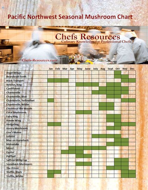 PNW Seasonal Mushroom Chart by Chefs-Resources.com Homestead Knowledge, Mushroom Chart, Eating Seasonally, Types Of Mushrooms, Medicine Recipes, Spruce Tips, Social Bar, Saskatoon Berry, Sea Beans