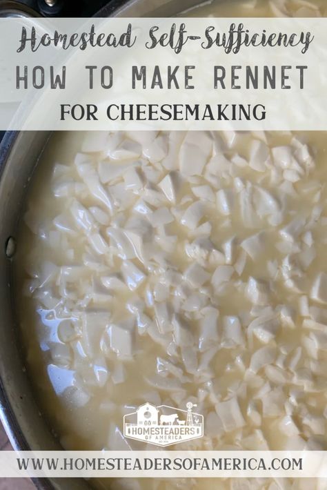 Cheese Recipes Homemade, Cheddar Cheese Recipes, Cheese Making Recipes, Goat Milk Recipes, Diy Cheese, Coconut Bowls, Homemade Pantry, Homemade Cheese, The Homestead