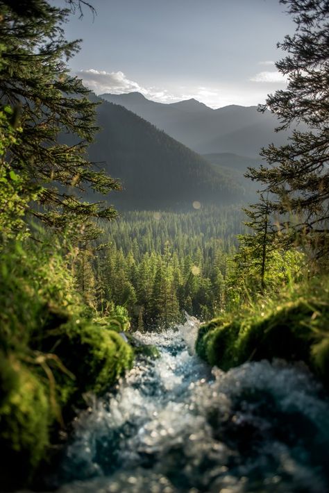 Bozeman Aesthetic, Montana Scenery, Satisfying Pics, Montana Nature, Crazy Nature, Quotes Light, Crafts Animals, Random Clicks, Aesthetic Forest