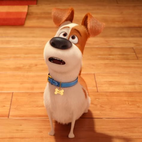 Max Secret Life Of Pets, Apartment Pet, Illumination Entertainment, Pets Movie, Secret Life Of Pets, Kids' Movies, Alley Cat, Movies And Series, Tiny Dogs