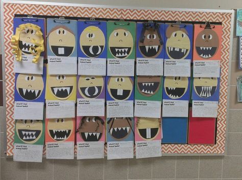 What if you had Animal Teeth creative writing. (Cute and the kids loved it.) Thanks for the templates and idea Yolanda L. Arnold at oceansoffirstgrade.blogspot.com . Pet Study, Animal Teeth, Beginning Of Year, Sharp Teeth, Grade 2, Dental Health, Wild Animals, Third Grade, Adaptation