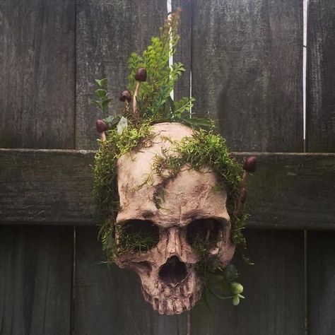 Skull With Plants, Plants And Mushrooms, Skull Reference, Arte Peculiar, Vulture Culture, Bone Art, Terraria, Skull Decor, Gcse Art