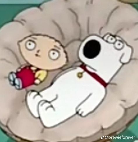 Brian Griffin Wallpaper, Low Quality Family Guy, Brian Family Guy Pfp, Stewie Griffin Crying Bed, Family Guy Brain And Stewie, Brian Griffin, Family Guy Memes Peter Griffin, Griffin Family, Family Guy Funny