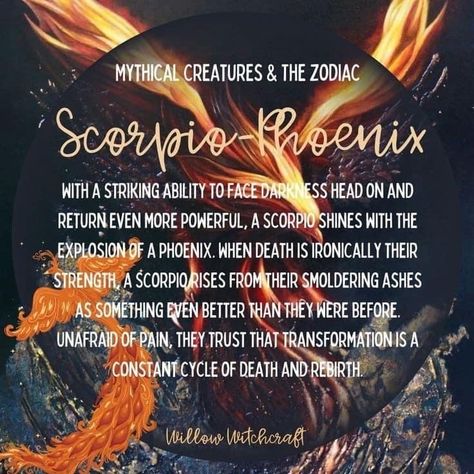 Scorpio Mythical Creature, Scorpio Phoenix Quotes, Phoenix Rising Scorpio, Scorpio Phoenix Art, Scorpio Witchcraft, Phoenix Scorpio, Scorpio Witch, Tattoo Flower Drawing, Scorpio Status