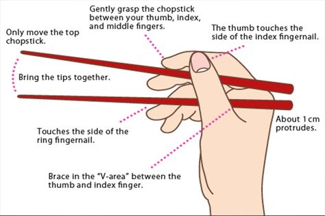 How To Hold Chopsticks, Sushi Etiquette, Dinning Etiquette, Sushi Guide, Using Chopsticks, Table Etiquette, Japanese Chopsticks, Dining Etiquette, Table Manners