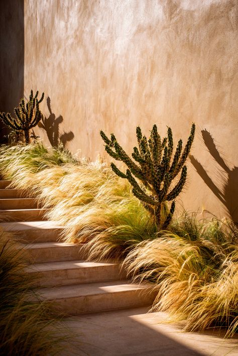 Capo Boutique Hotel - Picture gallery 16 Pool Area Landscaping, Ochre Lighting, Bali Decor, 2023 Picture, Backyard Balcony, Mediterranean Landscaping, Outdoor Pictures, Hospitality Projects, Natural Sunlight