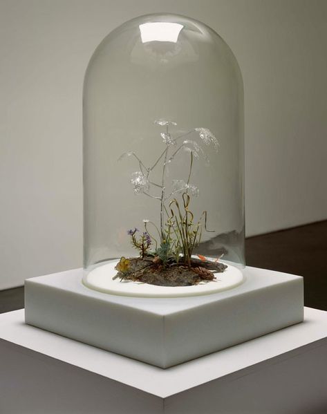 Jim Hodges, Shattered Mirror, Glass Bell Jar, Jar Display, Dallas Museum Of Art, Walker Art Center, Walker Art, Institute Of Contemporary Art, Artistic Installation