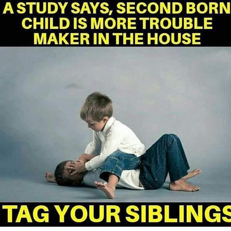 Brother Sister Quotes Funny, Siblings Funny Quotes, Sibling Quotes, Siblings Funny, Sister Quotes Funny, Funny Relationship Jokes, Sarcastic Jokes, Relationship Jokes, Funny School Jokes