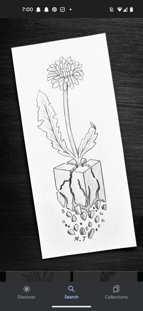 Seed Sprouting Tattoo, Flower Growing Through Concrete Tattoo, Seed Tattoo Sprouting, Flower Growing Through Concrete Drawing, Dandelion Growing Through Concrete, Dandelion Flower Tattoo Black And White, Tattoo Board, Dandelion, Tatting