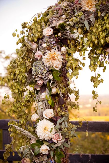 ceremony arch with hops garland - I like the way flowers have been added to the hops Hops In Wedding Flowers, Hops Wedding Decor, Hops Decoration, Hops Decor, Hop Decorations, Hops Wedding, Craft Beer Wedding, Flowers Intertwined, Beer Wedding