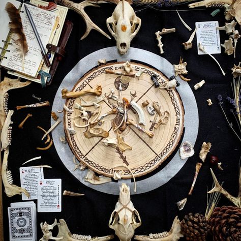 Divination 101 - Jan Blencowe Oracle Bones, Bone Reading, Modern Tarot Cards, Rune Reading, Types Of Reading, Chinese Astrology, Complex Systems, Minor Arcana, Natal Charts