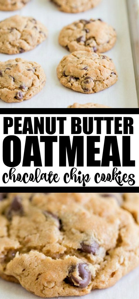 Peanut Butter Oatmeal Chocolate Chip, Peanut Butter Oatmeal Chocolate Chip Cookies, Butter Oatmeal Cookies, Healthy Food Menu, Peanut Butter Oatmeal Cookies, Peanut Butter Chocolate Chip Cookies, Oatmeal Chocolate Chip, Healthy Food Facts, Peanut Butter Oatmeal